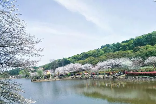 湖南省森林植物園游玩攻略 附景點介紹