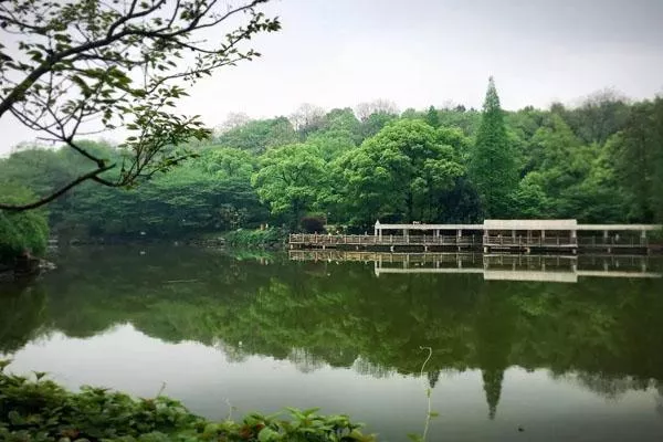 湖南省森林植物園游玩攻略 附景點介紹