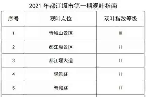 2021都江堰賞銀杏的地方 都江堰銀杏葉最美的地方