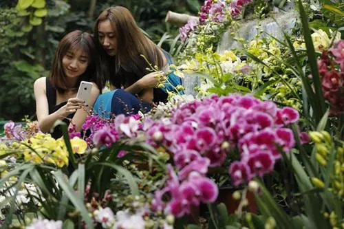 武漢植物園好玩嗎 武漢植物園有什么好玩的