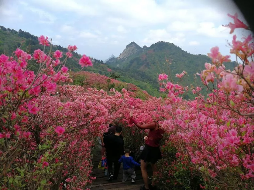 龜峰山風景區(qū)好玩嗎 龜峰山旅游攻略