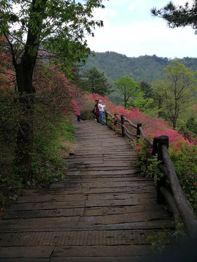 龜峰山風景區(qū)好玩嗎 龜峰山旅游攻略