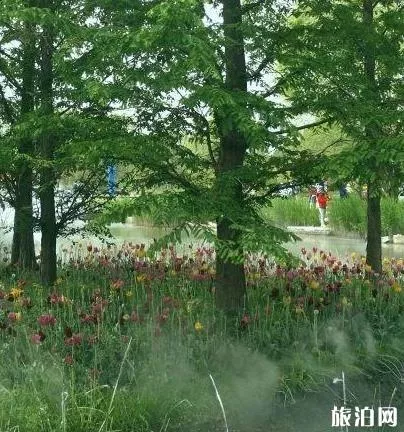 北京國際鮮花港游玩攻略 鮮花港游記