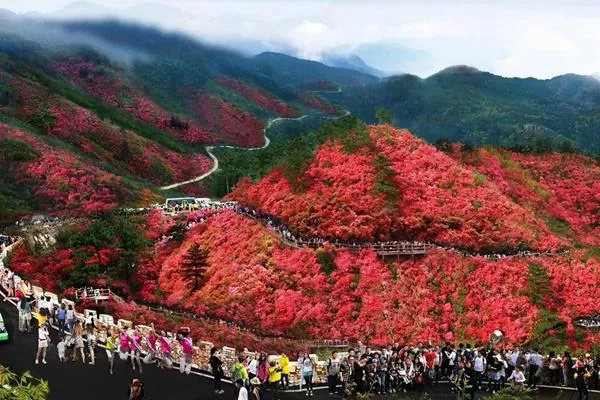 湖北武漢黃陂云霧山風(fēng)景區(qū)在哪里?木蘭云霧山在哪個地方?