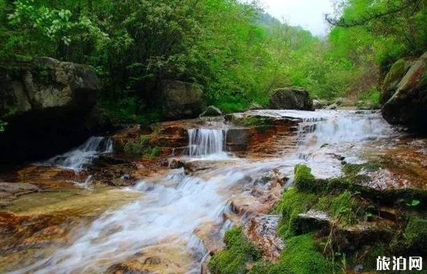 東坪溝高山草甸攻略