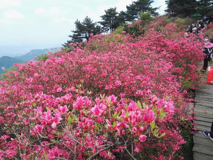 龜峰山風景區(qū)好玩嗎 龜峰山旅游攻略