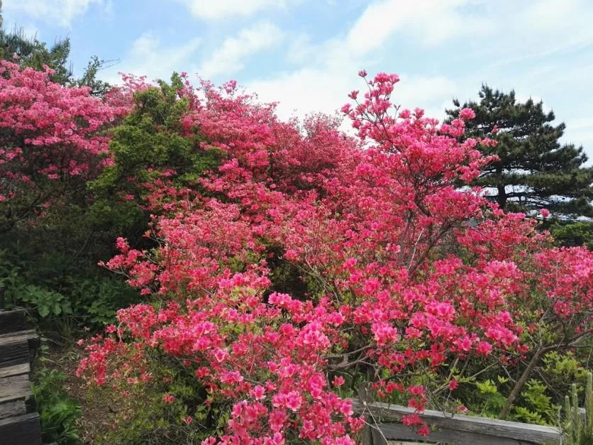 龜峰山風景區(qū)好玩嗎 龜峰山旅游攻略