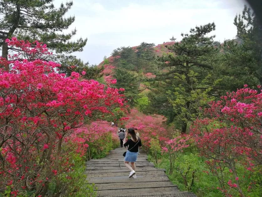 龜峰山風景區(qū)好玩嗎 龜峰山旅游攻略