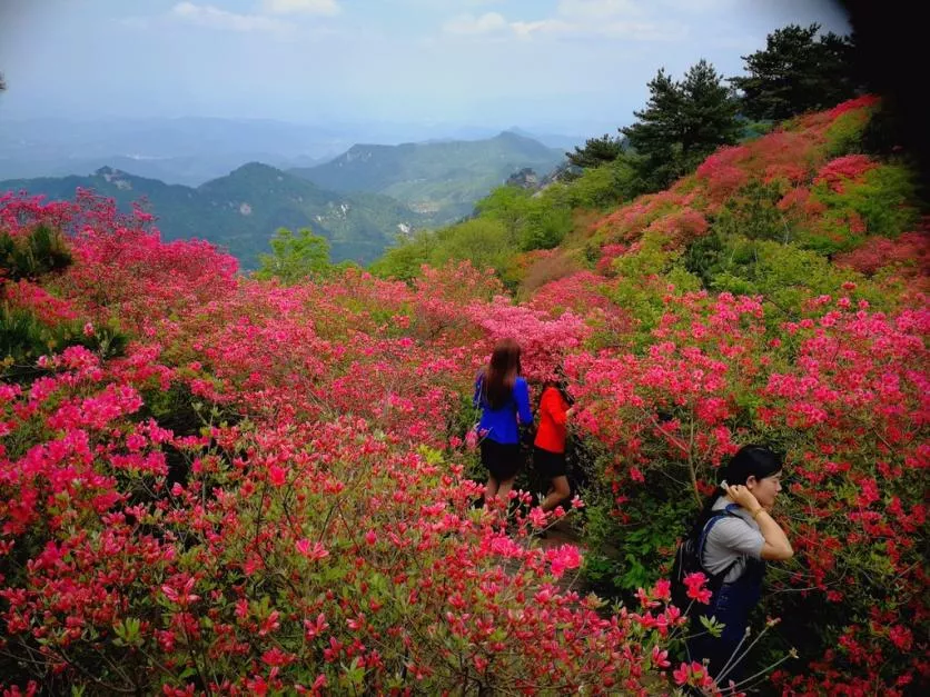 龜峰山風景區(qū)好玩嗎 龜峰山旅游攻略