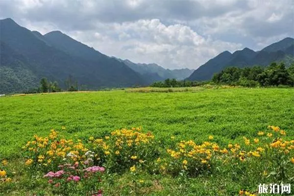 巫溪紅池壩景區(qū)介紹 可以開車進去嗎