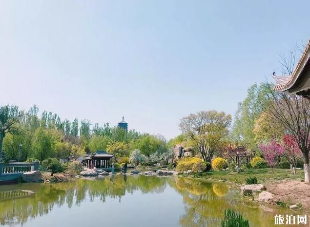 北京園博園賞花春游