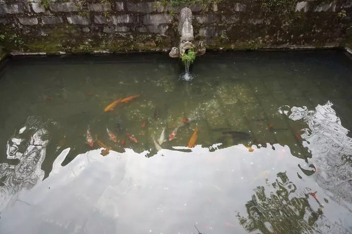 錫惠公園門(mén)票  錫惠公園門(mén)票多少錢(qián)