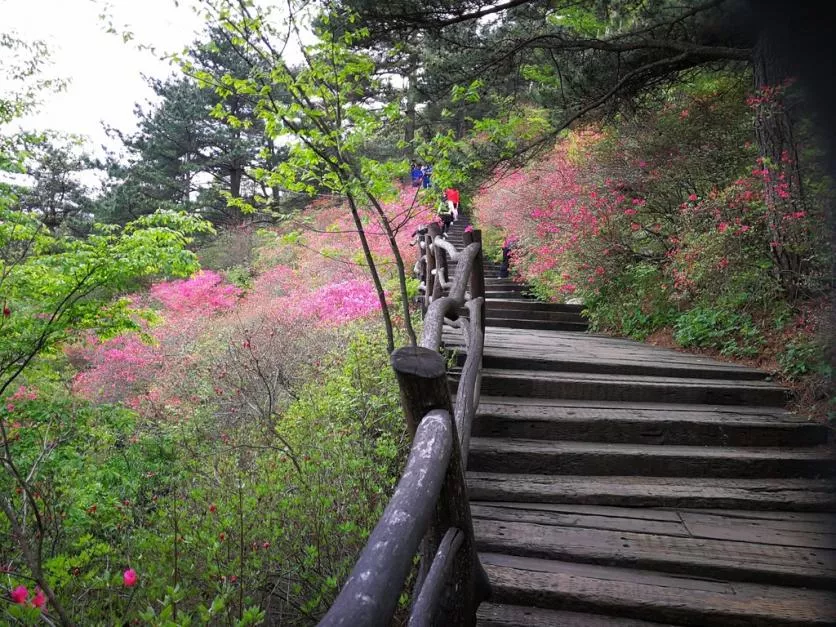 龜峰山風景區(qū)好玩嗎 龜峰山旅游攻略