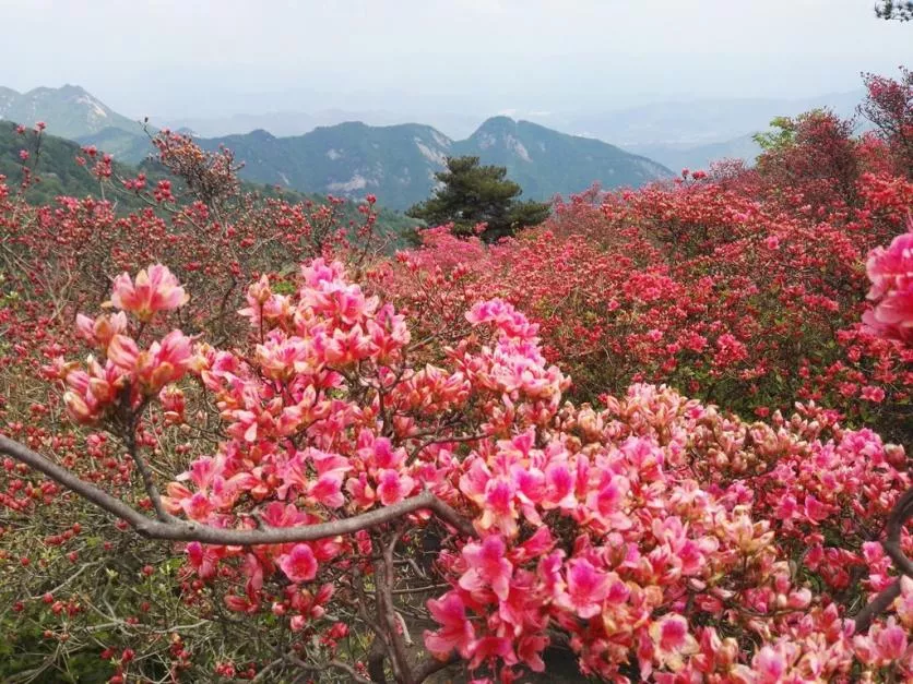 龜峰山風景區(qū)好玩嗎 龜峰山旅游攻略