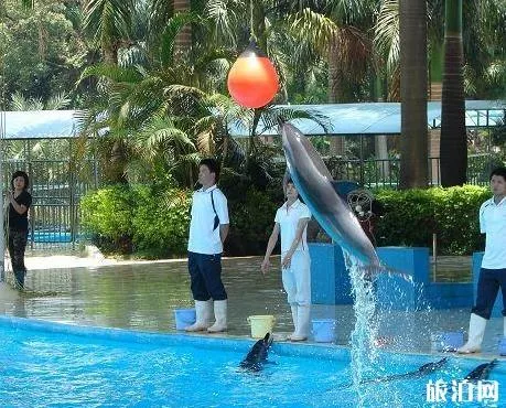 南寧動物園門票多少錢 地址+門票+交通指南