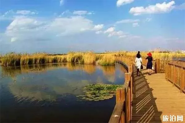 曲靖海峰濕地公園怎么去 包車費用多少-海峰濕地可以釣魚嗎