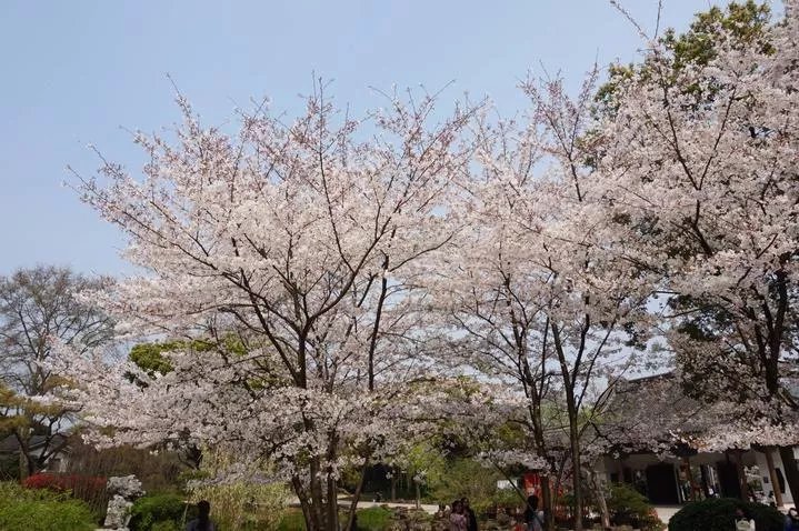 錫惠公園門(mén)票  錫惠公園門(mén)票多少錢(qián)