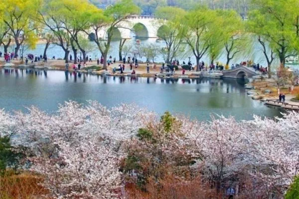 玉淵潭公園售票處電話 玉淵潭公園景點介紹