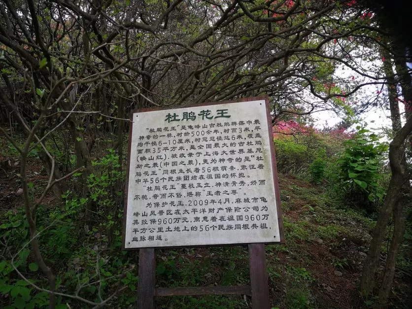 龜峰山風景區(qū)好玩嗎 龜峰山旅游攻略