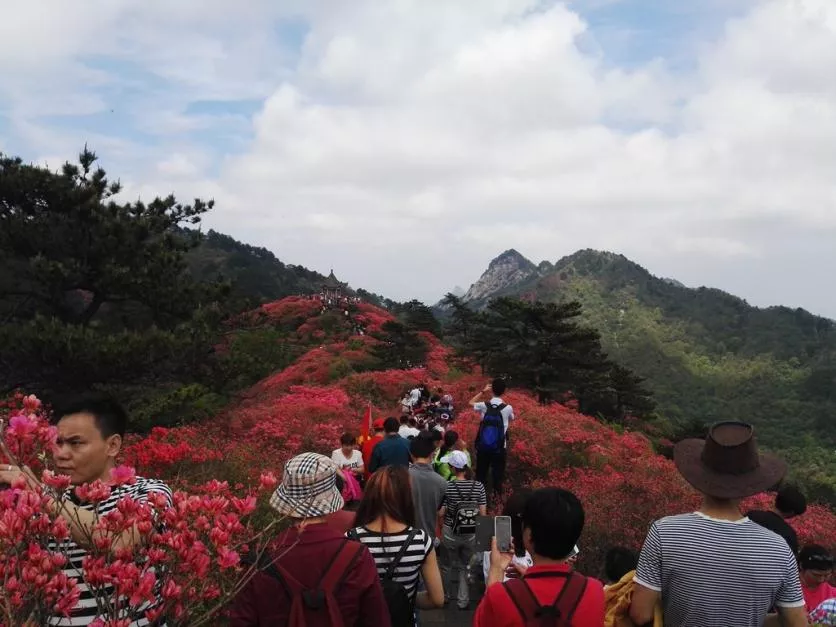 龜峰山風景區(qū)好玩嗎 龜峰山旅游攻略