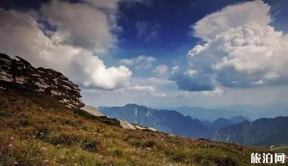 東坪溝高山草甸攻略