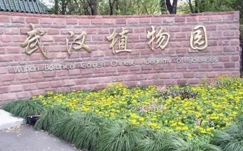 武漢植物園好玩嗎 武漢植物園有什么好玩的