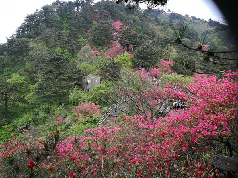 龜峰山風景區(qū)好玩嗎 龜峰山旅游攻略