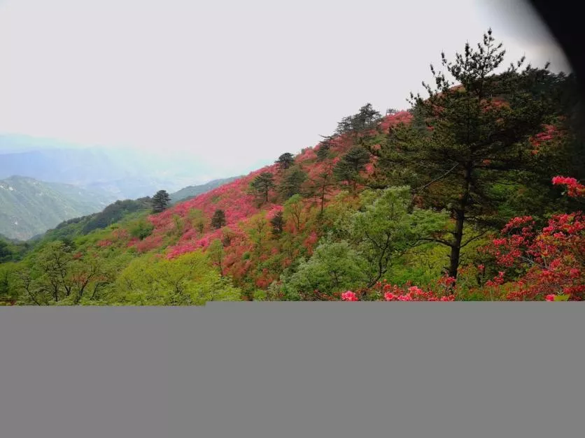 龜峰山風景區(qū)好玩嗎 龜峰山旅游攻略