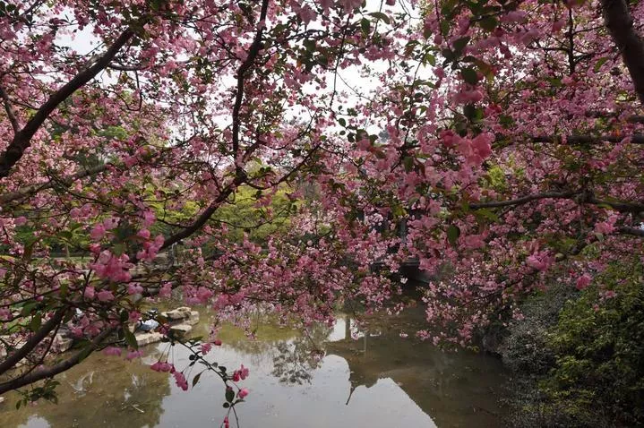 錫惠公園門(mén)票  錫惠公園門(mén)票多少錢(qián)