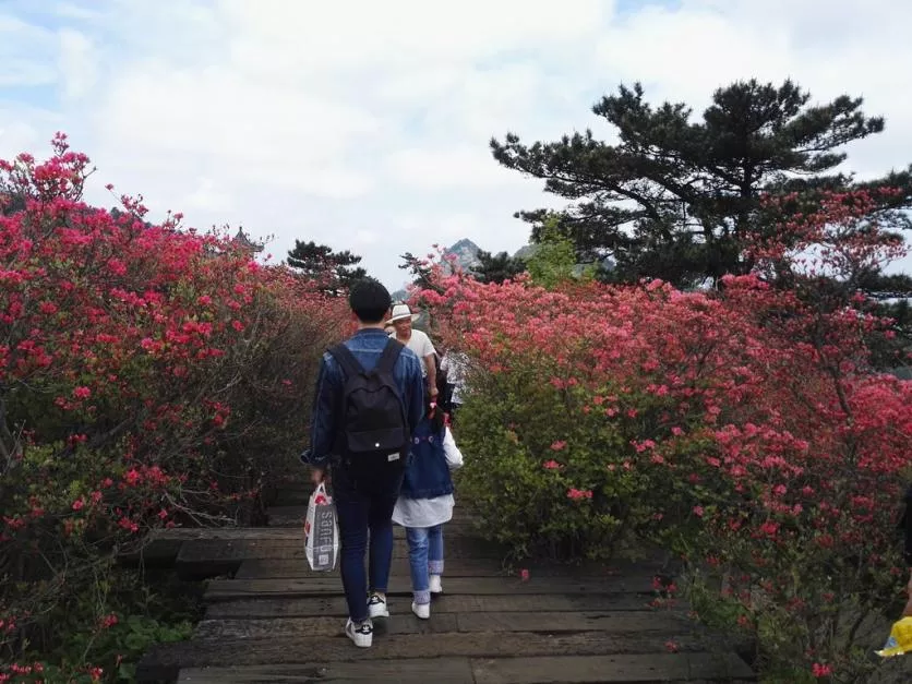 龜峰山風景區(qū)好玩嗎 龜峰山旅游攻略