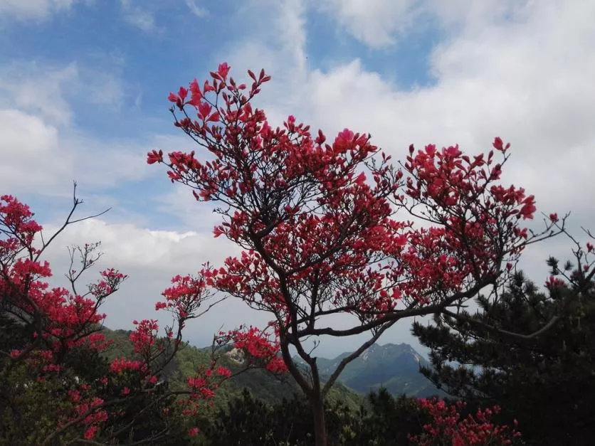 龜峰山風景區(qū)好玩嗎 龜峰山旅游攻略