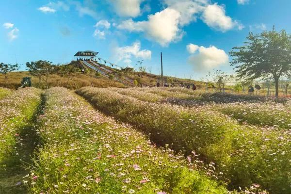 廣州花都露營的好地方 花都哪里有露營的地方